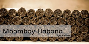 Mbombay habano cigar review